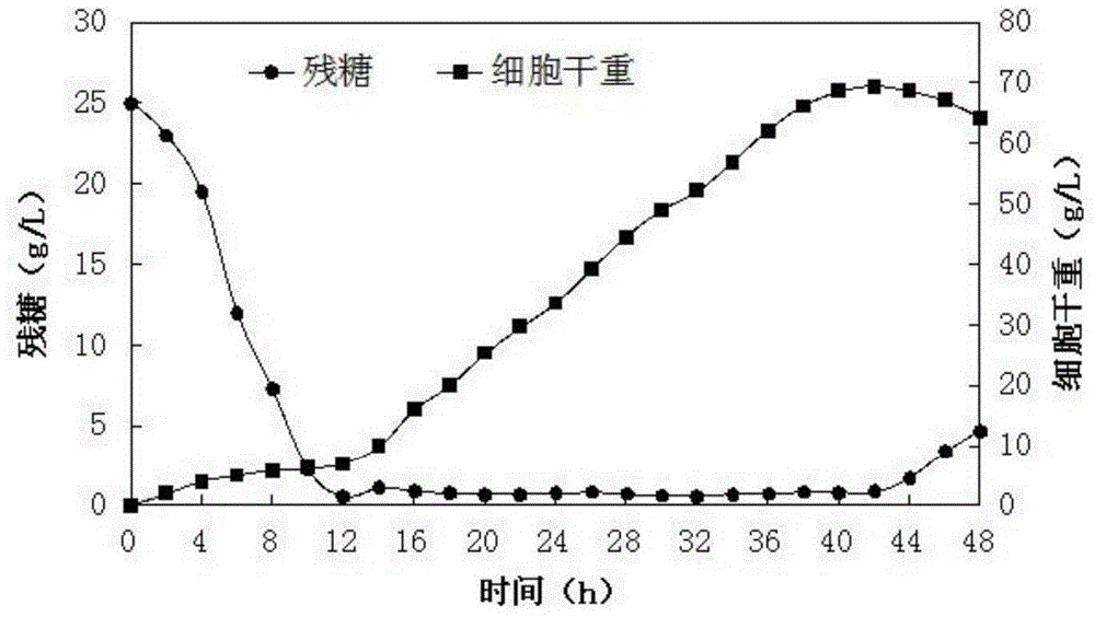 Nature feed additive for microorganism-derived aquatic animals, and application of nature feed additive