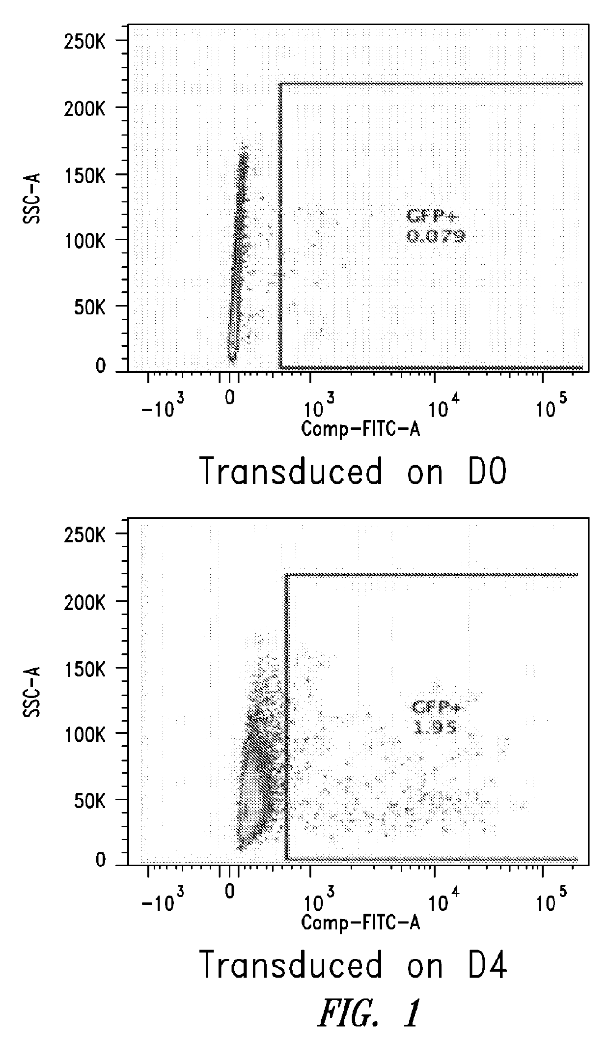 Methods for in vitro memory b cell differentiation and transduction with vsv-g pseudotyped viral vectors