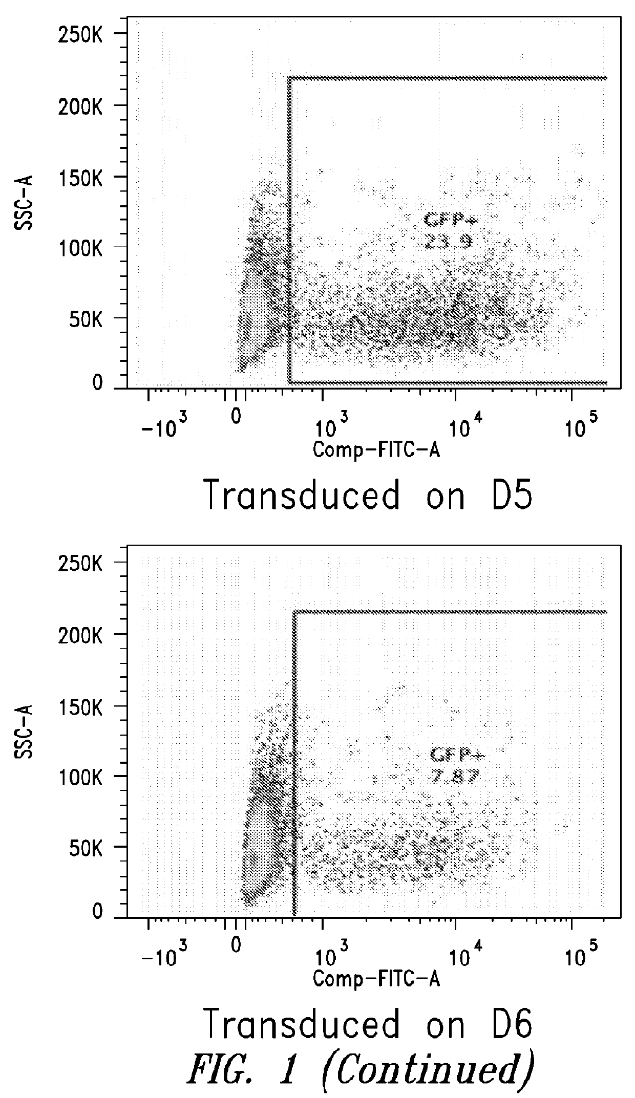 Methods for in vitro memory b cell differentiation and transduction with vsv-g pseudotyped viral vectors