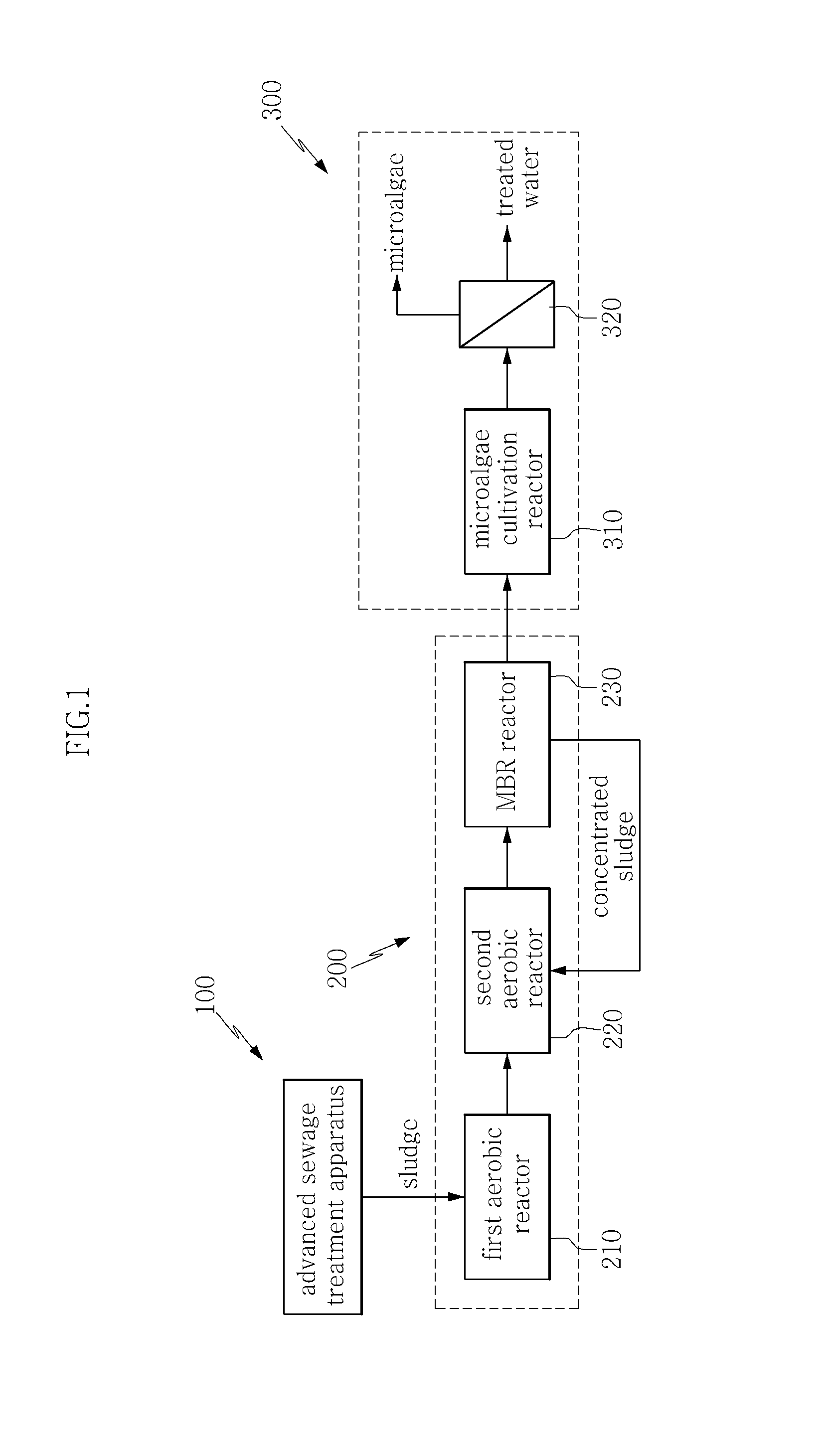 Apparatus and method for cultivating microalgae using effluent from sludge treatment