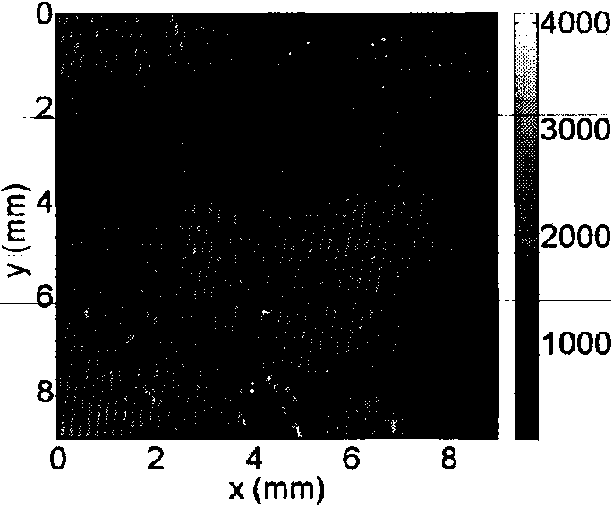 Device and method of perspective measurement of distribution of out-of-plane displacement field in resin matrix composite