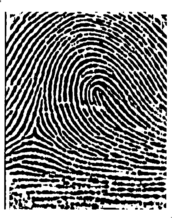 Direction filtering reinforcement method of fingerprint image
