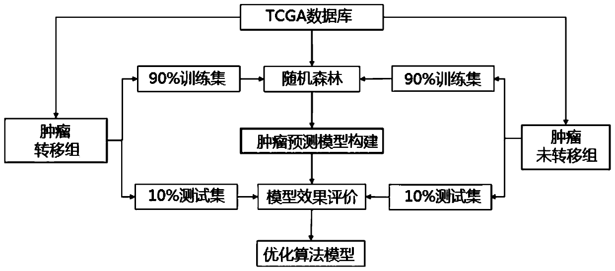 Tumor metastasis and recurrence prediction method and system based on TCGA database