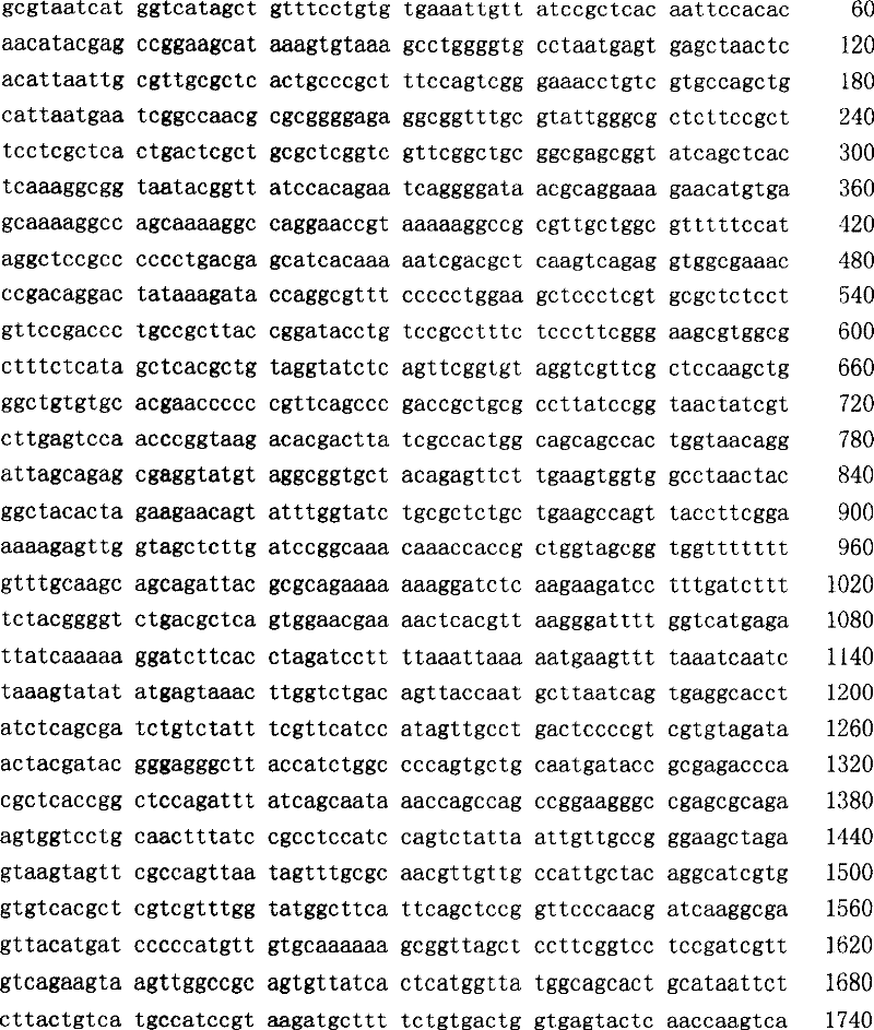 Fowl pox virus double gene expression vector (pg7.5n)