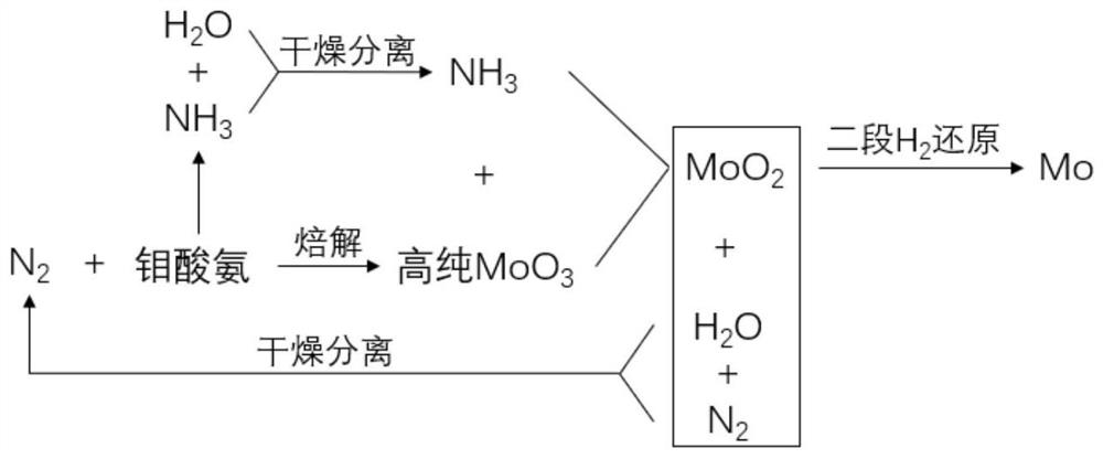 Process for green preparation of molybdenum powder by ammonia gas and hydrogen relay reduction of ammonium molybdate