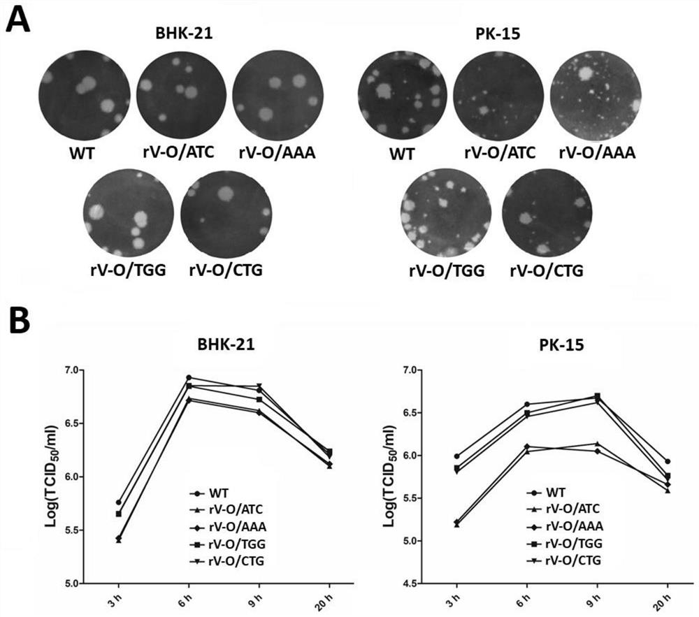 A kind of attenuated mutant strain of foot-and-mouth disease virus and its preparation method and application