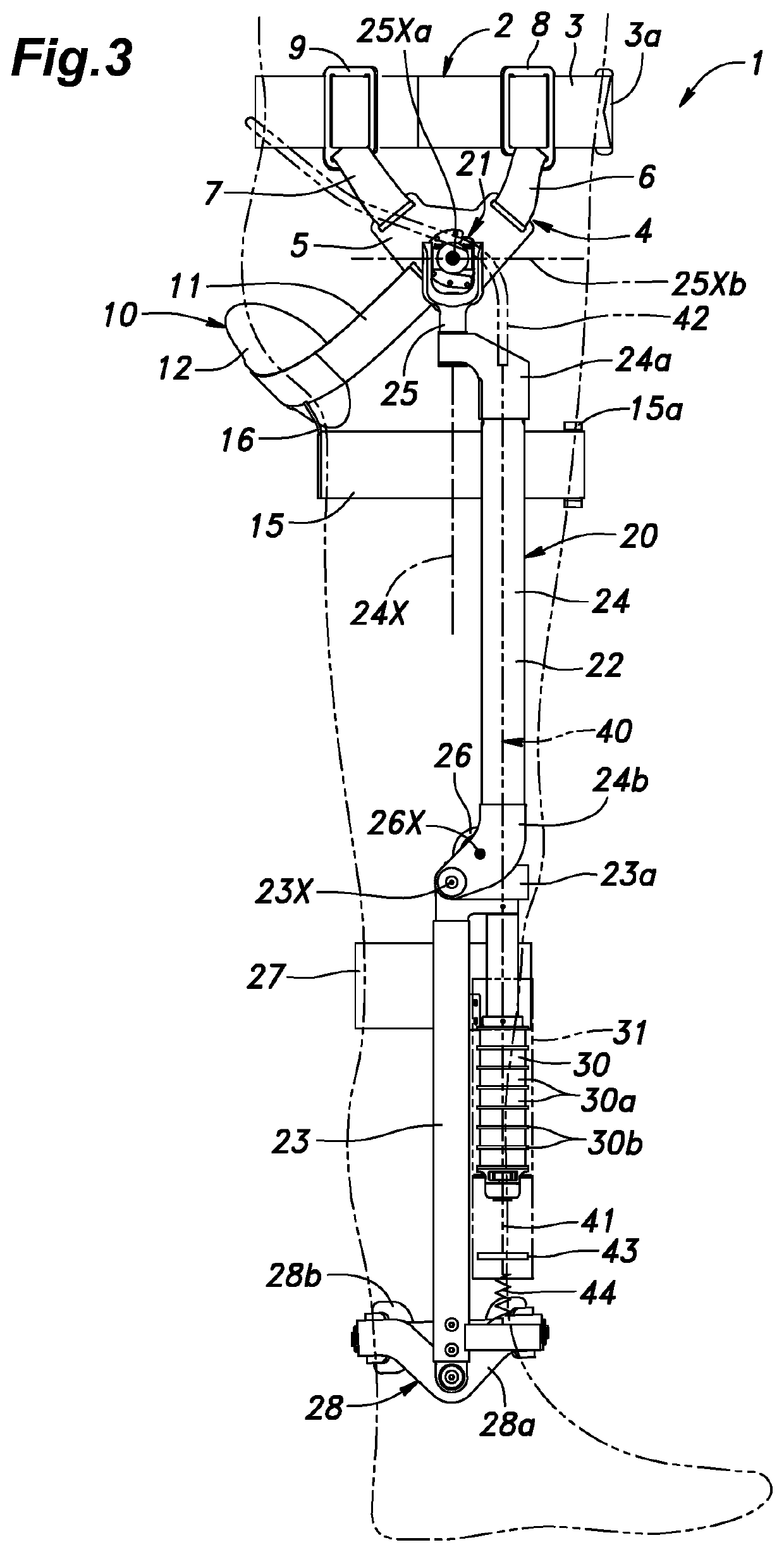 Bending and stretching motion assist device