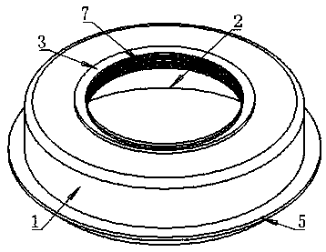 Special clamping assembly-connection flange structure