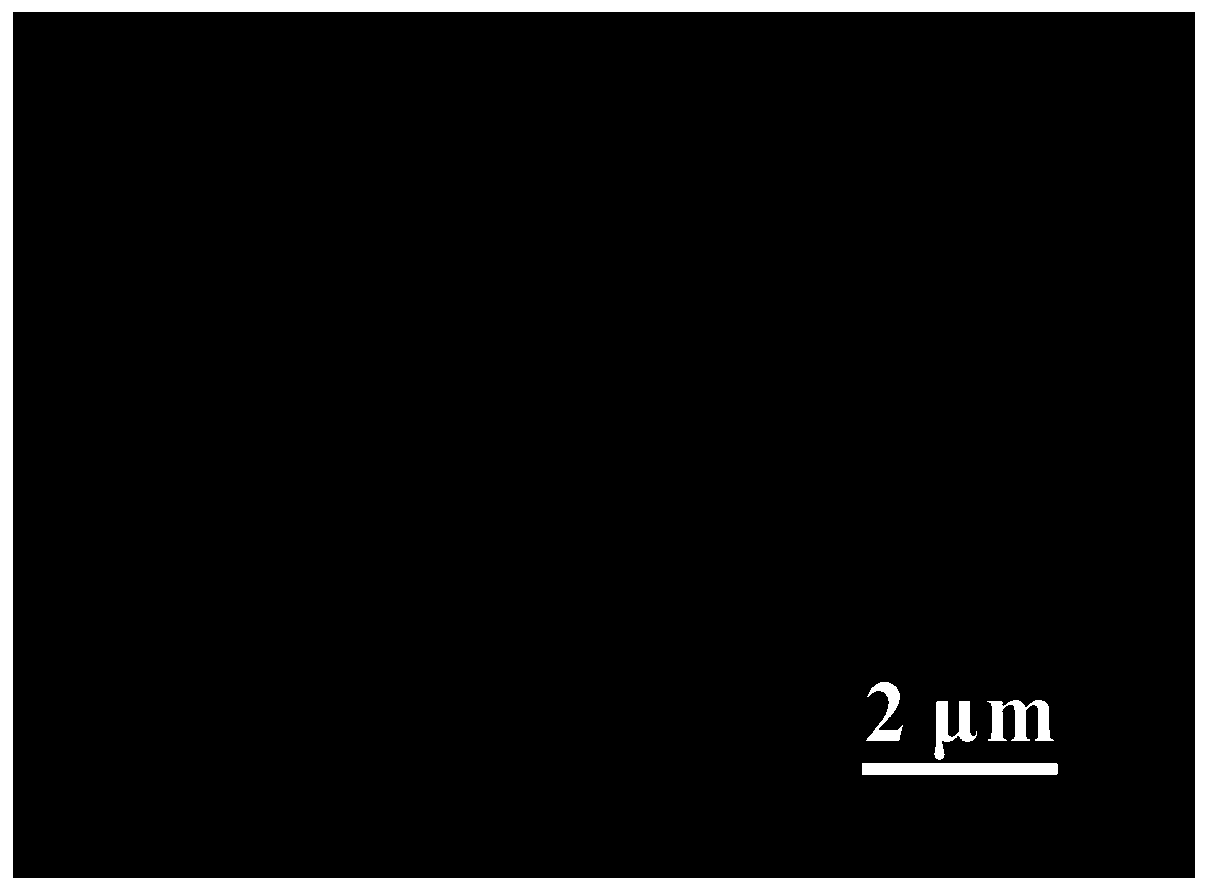 Praseodymium vanadate nanowire electrode material and preparation method thereof