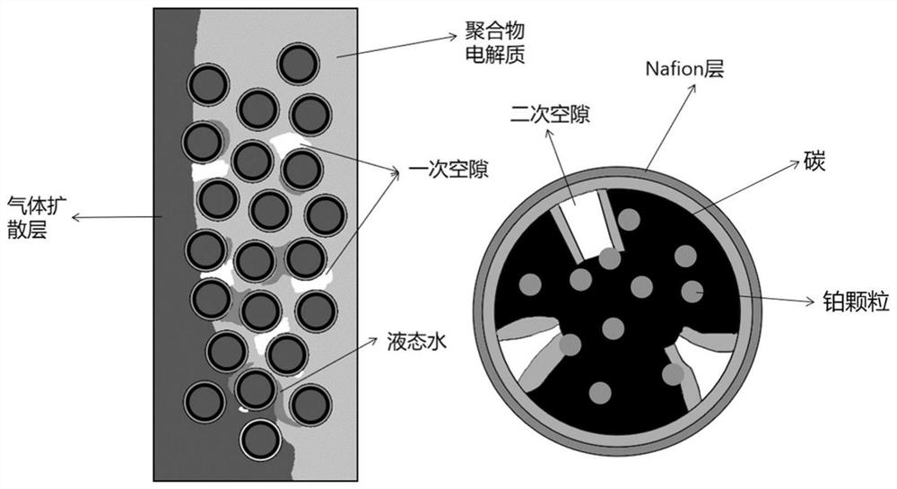 Establishment method and application of catalyst layer microcosmic model