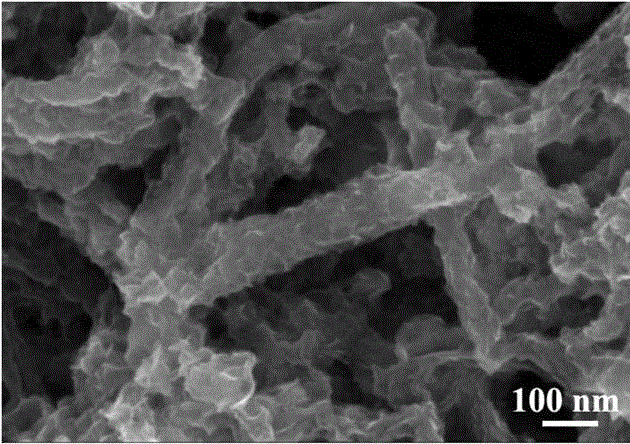 Molybdenum disulfide nano-sheet/graphene nano-ribbon composite material and manufacturing method thereof