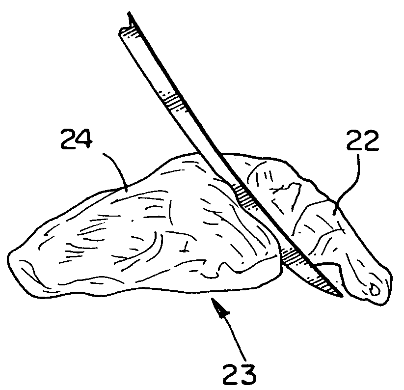 Method of making bird wing and breast products and products made in accordance with the method