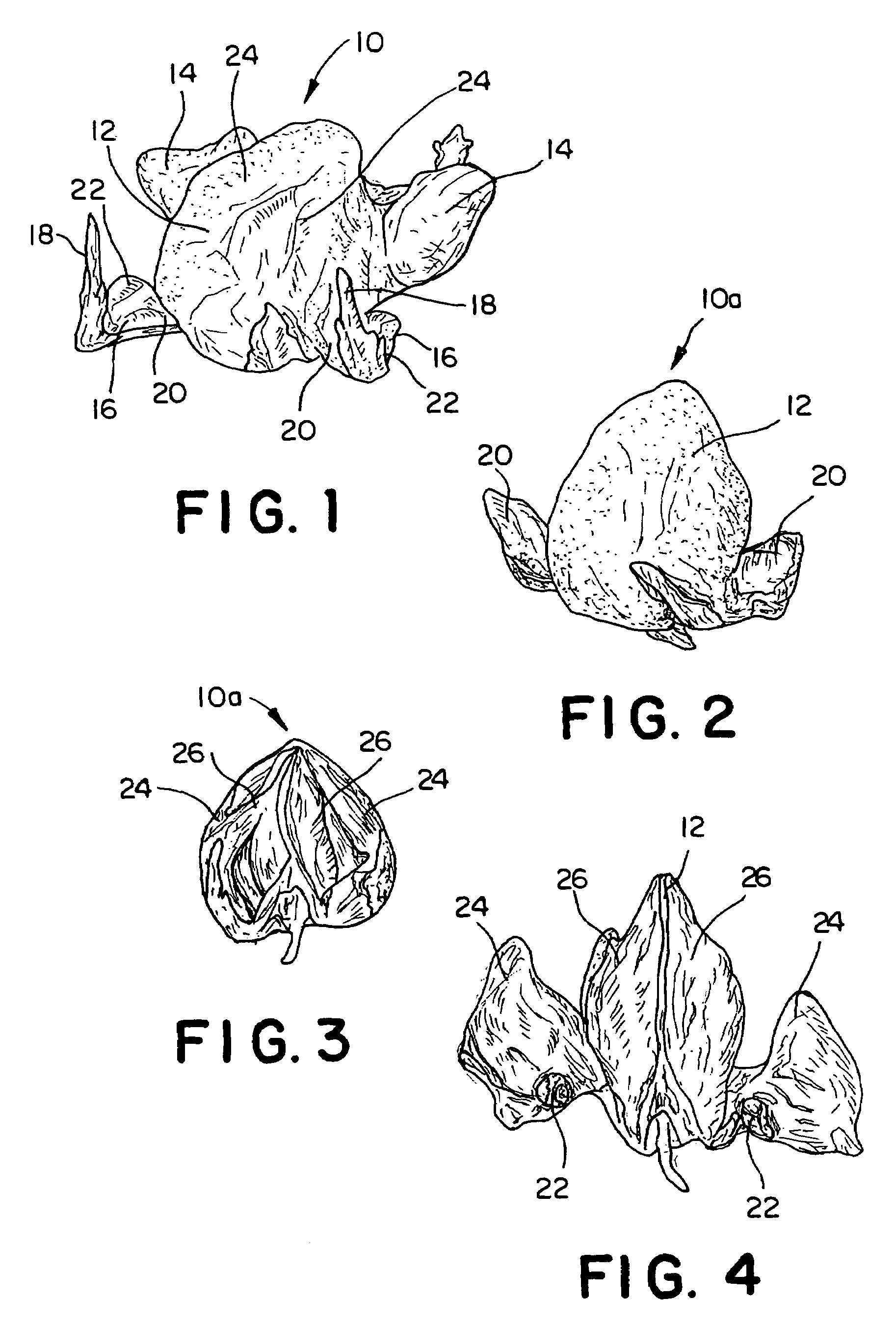 Method of making bird wing and breast products and products made in accordance with the method