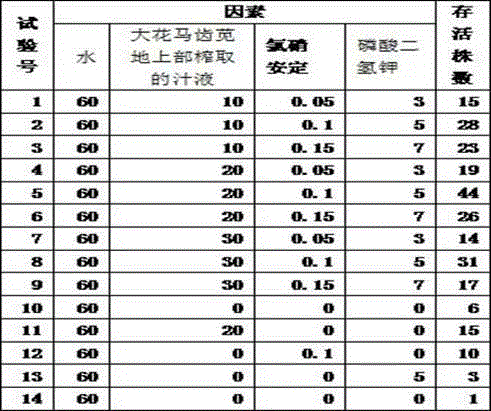 Liquid matrix for artificial cultivation of piper bambusaefolium