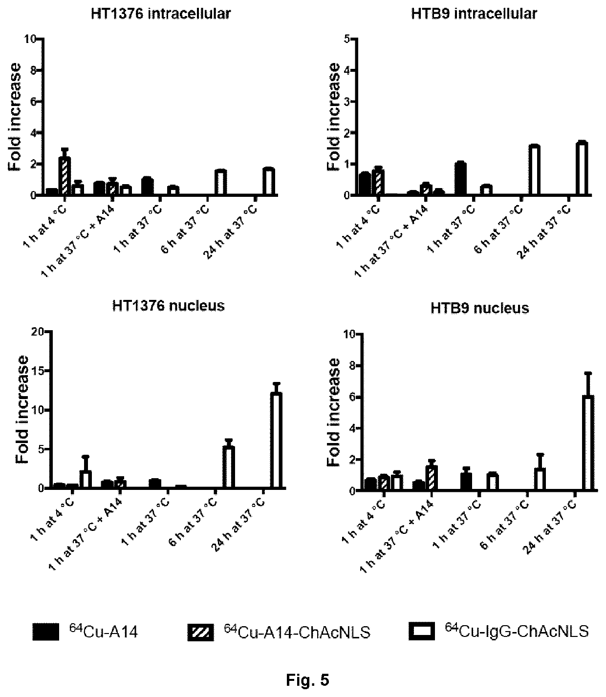 Antibody conjugate for treating and detecting bladder cancer