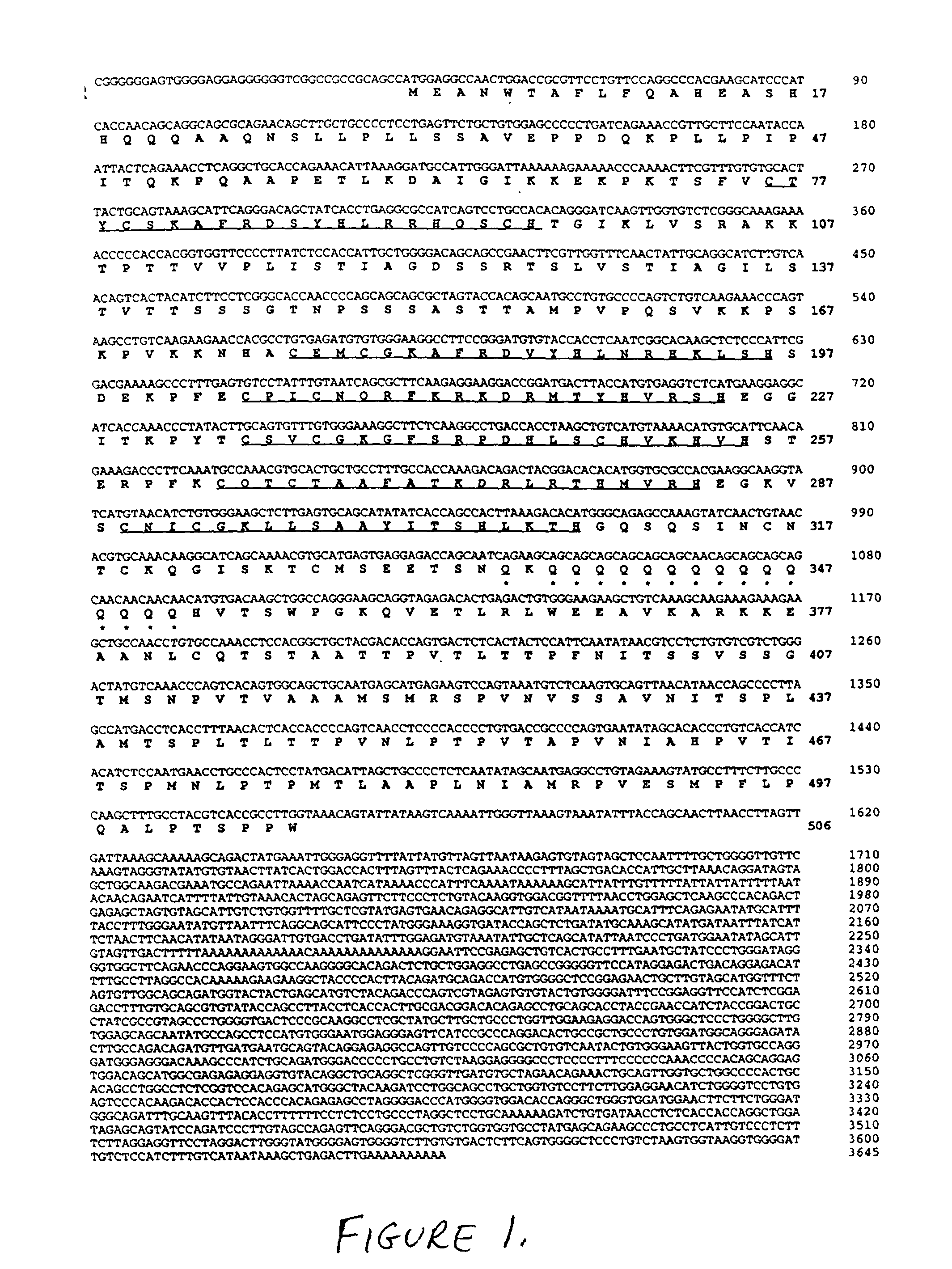 Vascular endothelial zinc finger 1 gene and protein and uses thereof