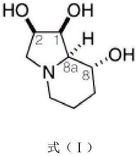 Application of Swainsonine for preparing medicine for treating rheumatoid arthritis