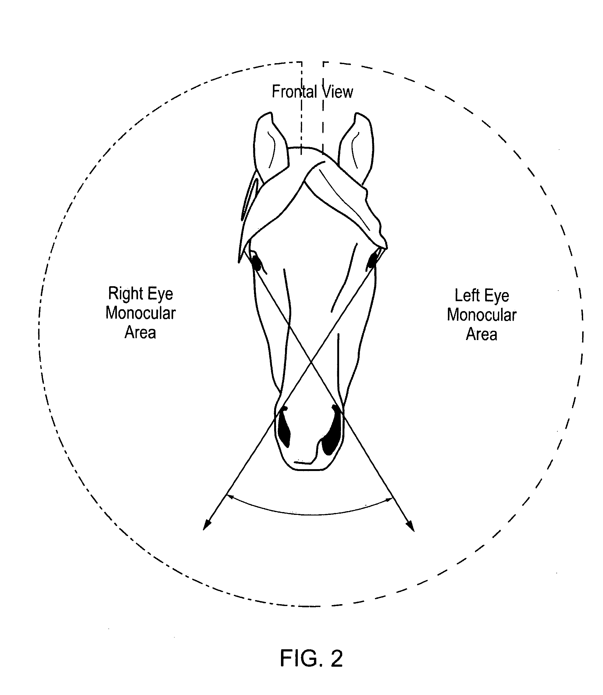 Visual Aid