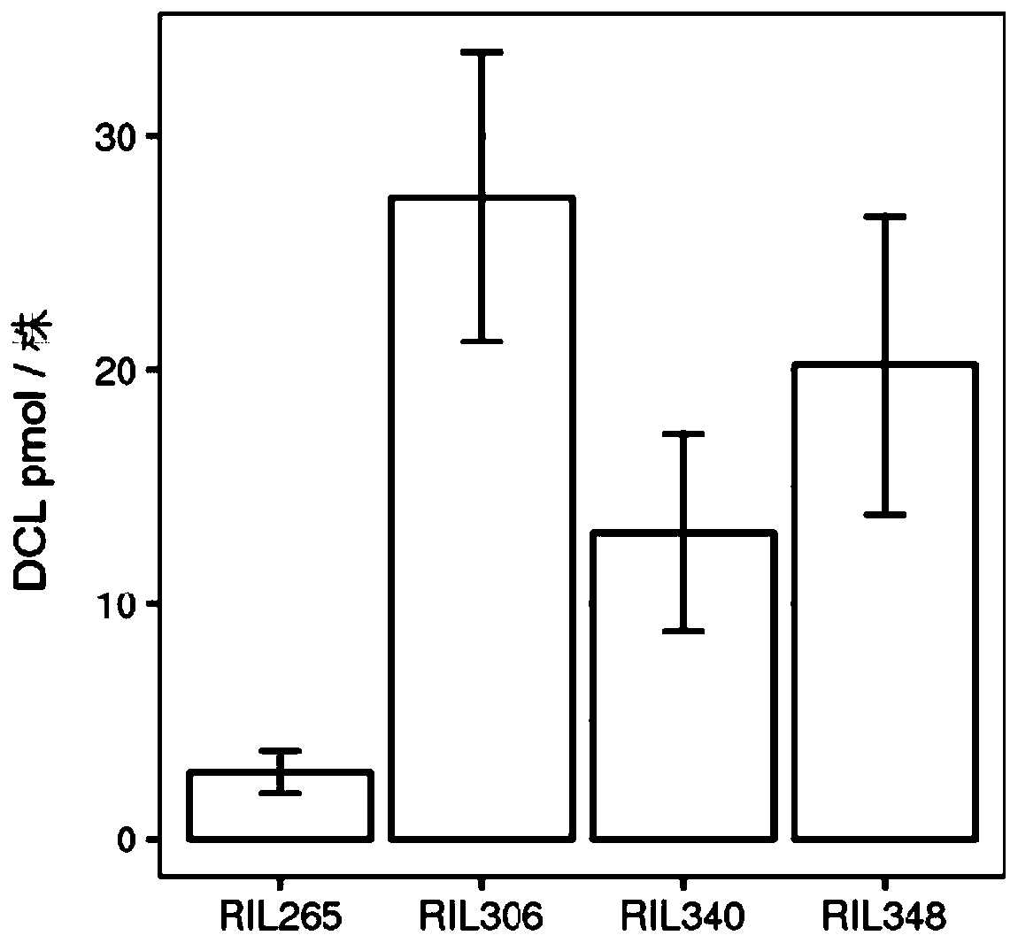 Method for efficiently collecting and purifying Orobanchecumana germination stimuli by using mist culture and solid-phase extraction technologies