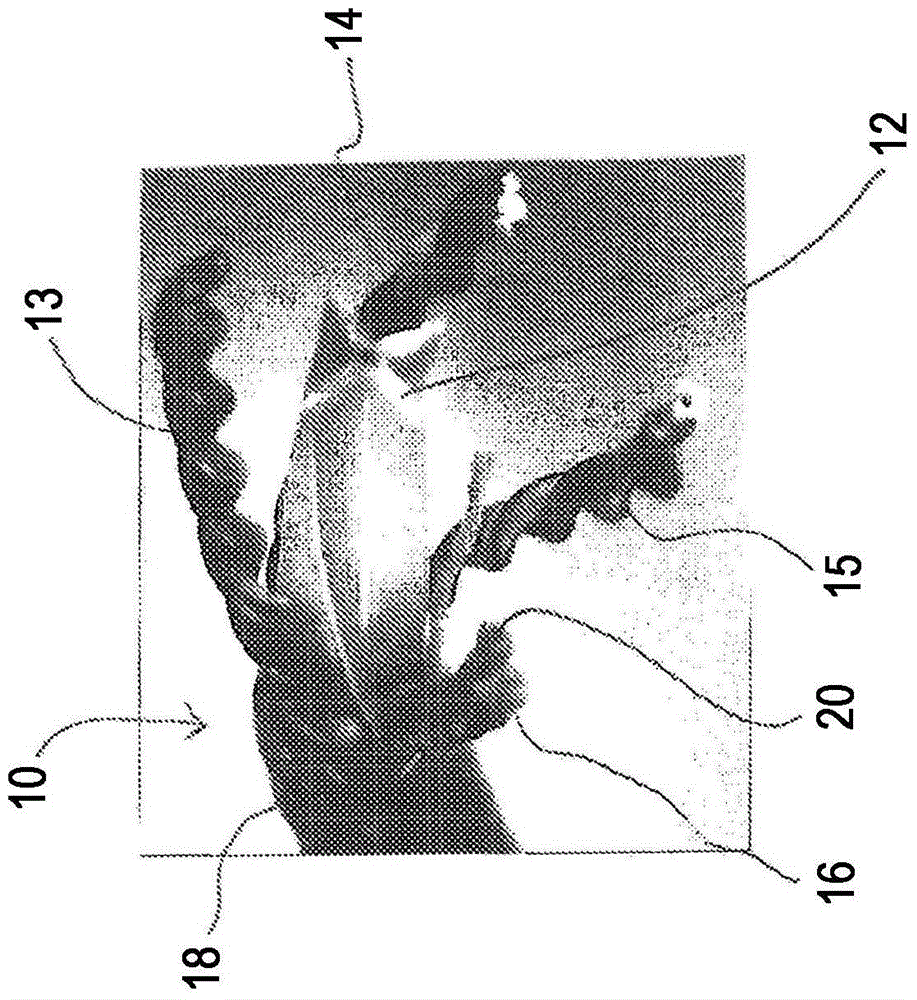 Foamed separator splines for data communication cables