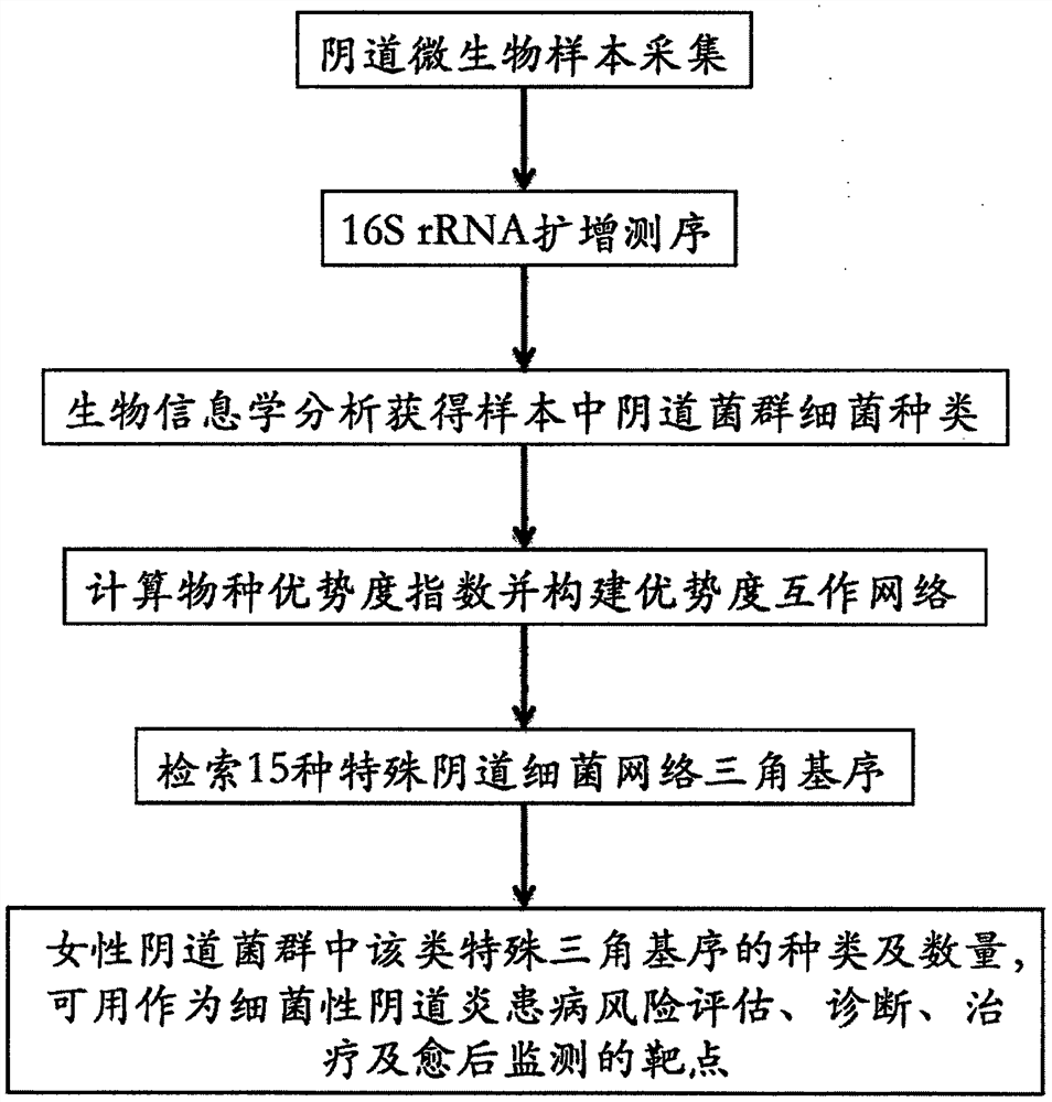 Bacterial dominance network trio motif for risk prediction, diagnosis, personalized treatment and post-healing monitoring of bacteria vaginosis