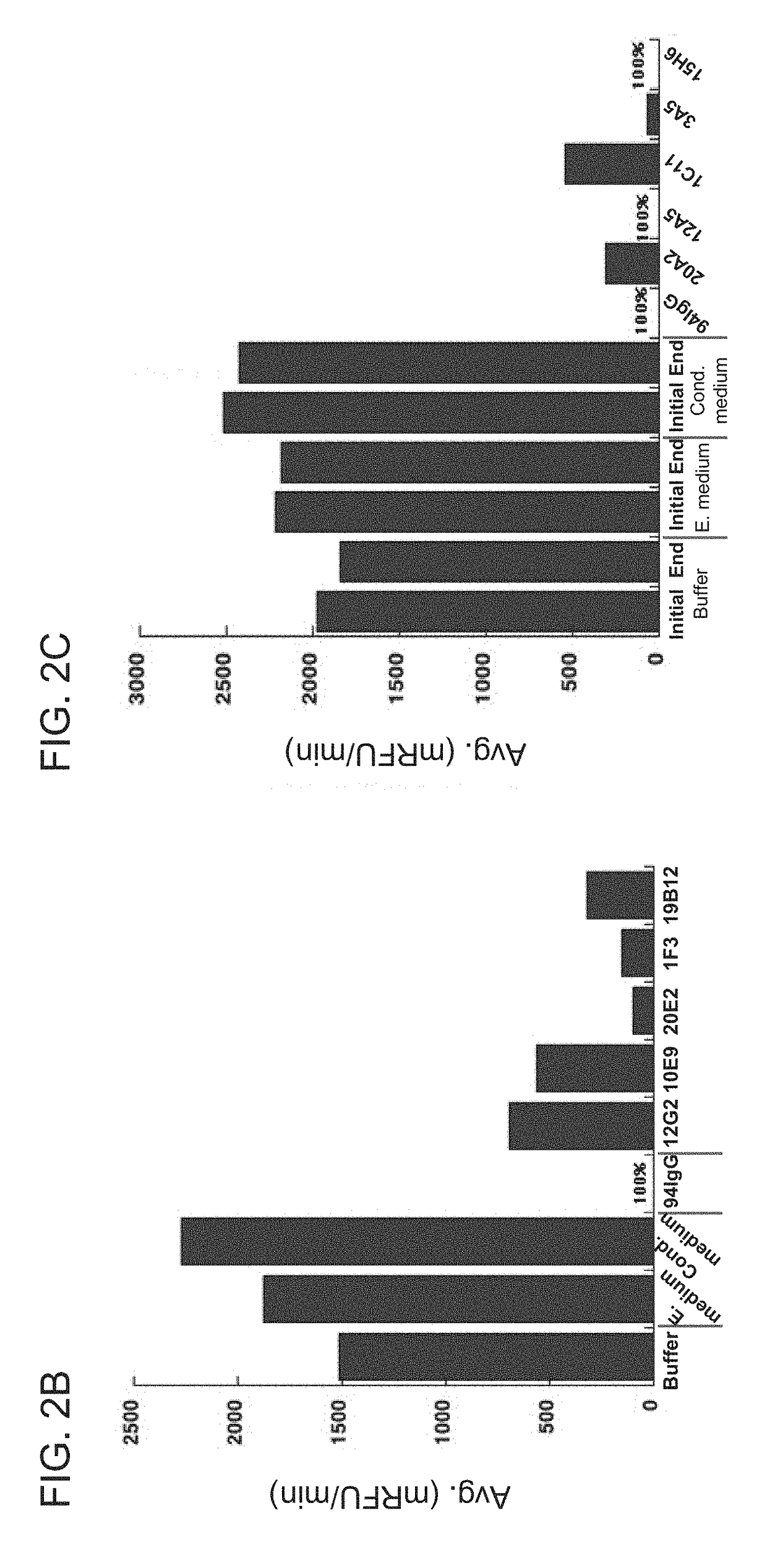 ANTI-HtrA1 ANTIBODIES AND METHODS OF USE THEREOF