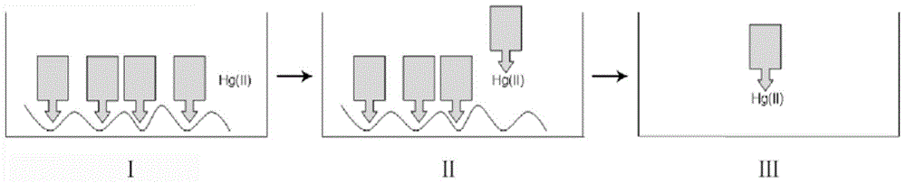 A mercury ion detection method and detection device