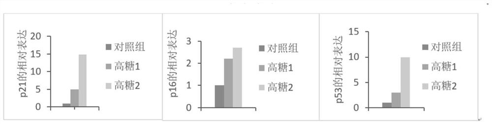 Preparation method and application of a high-concentration glucose solution-activated mesenchymal stem cell conditioned medium