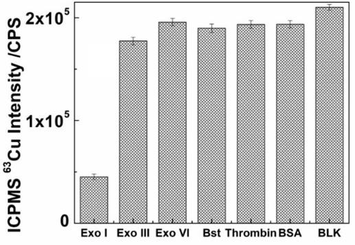 Label-free nuclease analysis method based on stable isotope detection