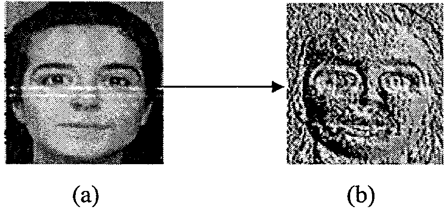 Face tracking method based on classification and identification