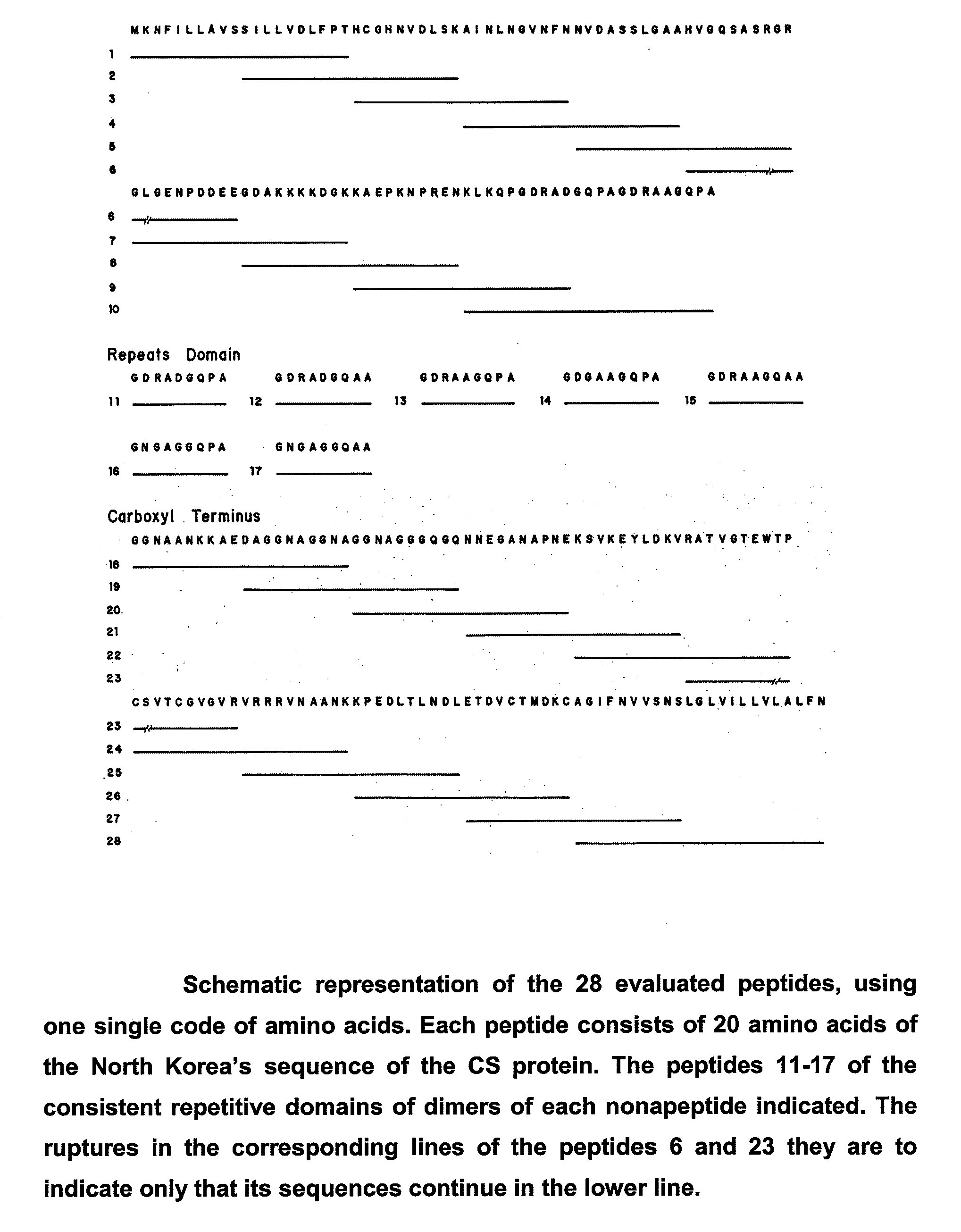 Malaria vaccine based on fragments and combination of fragments of the cs protein of plasmodium vivax