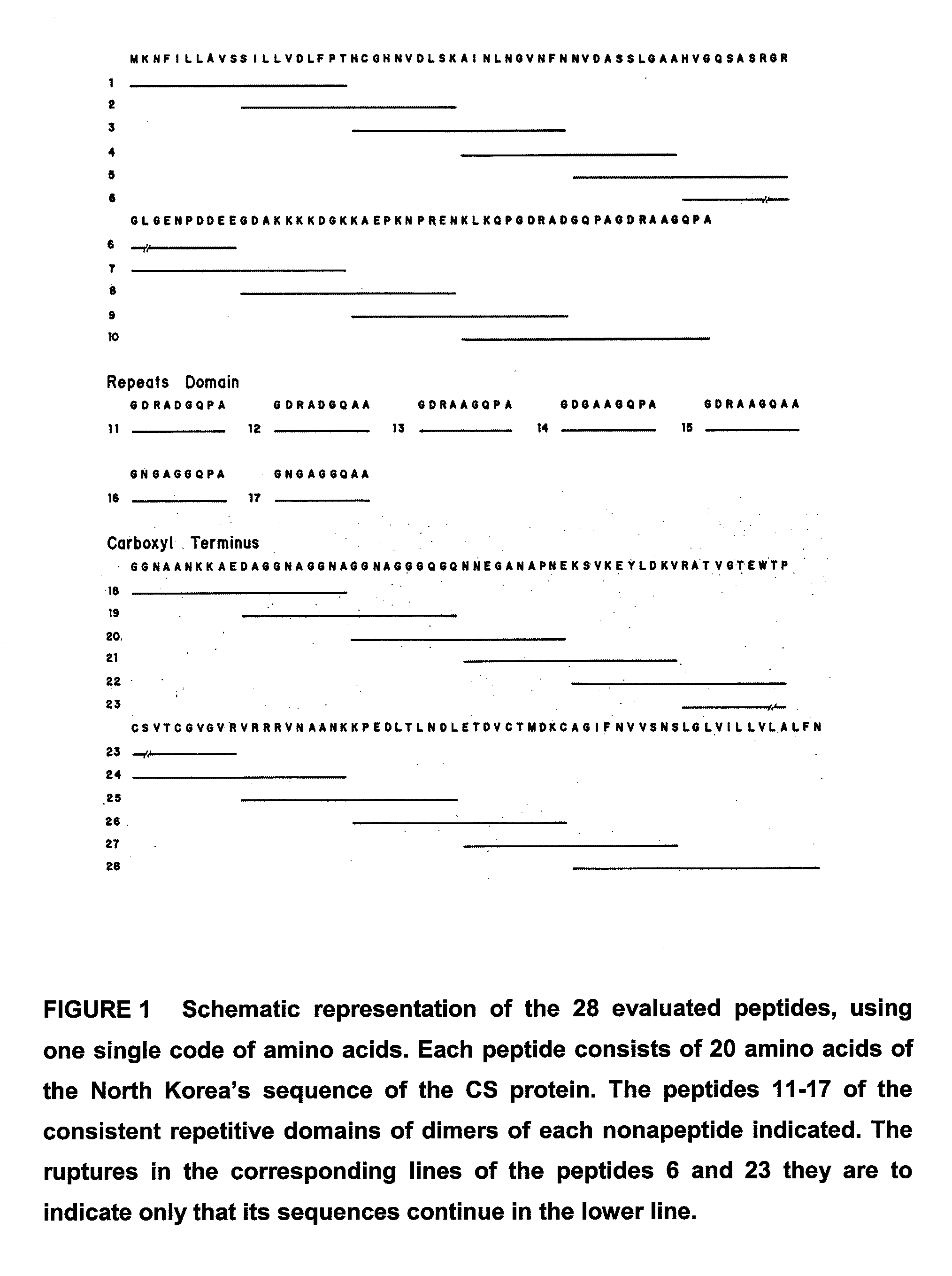 Malaria vaccine based on fragments and combination of fragments of the cs protein of plasmodium vivax