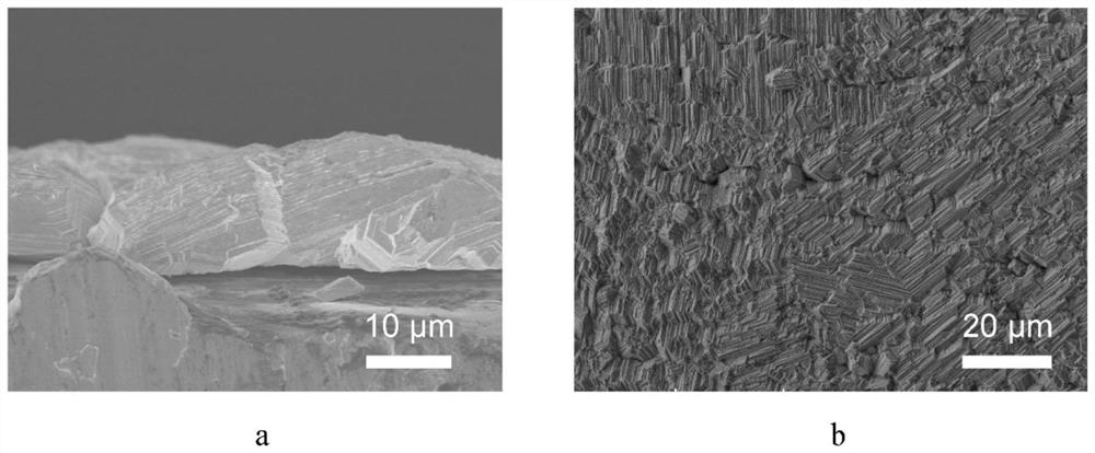 Multivalent metal battery containing two-dimensional nanosheet additive