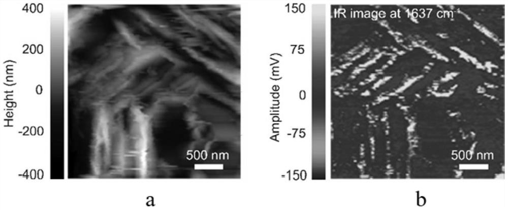 Multivalent metal battery containing two-dimensional nanosheet additive