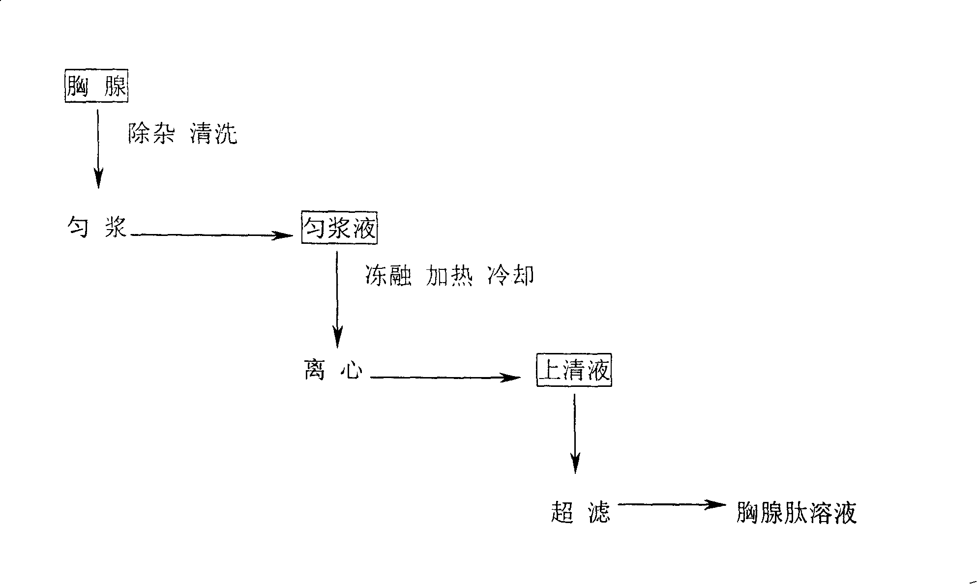 Production of high-concentration thymic peptide solution and large-specification thymic peptide preparation