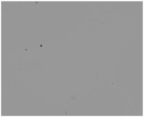 Radon gas concentration detection method based on opencv