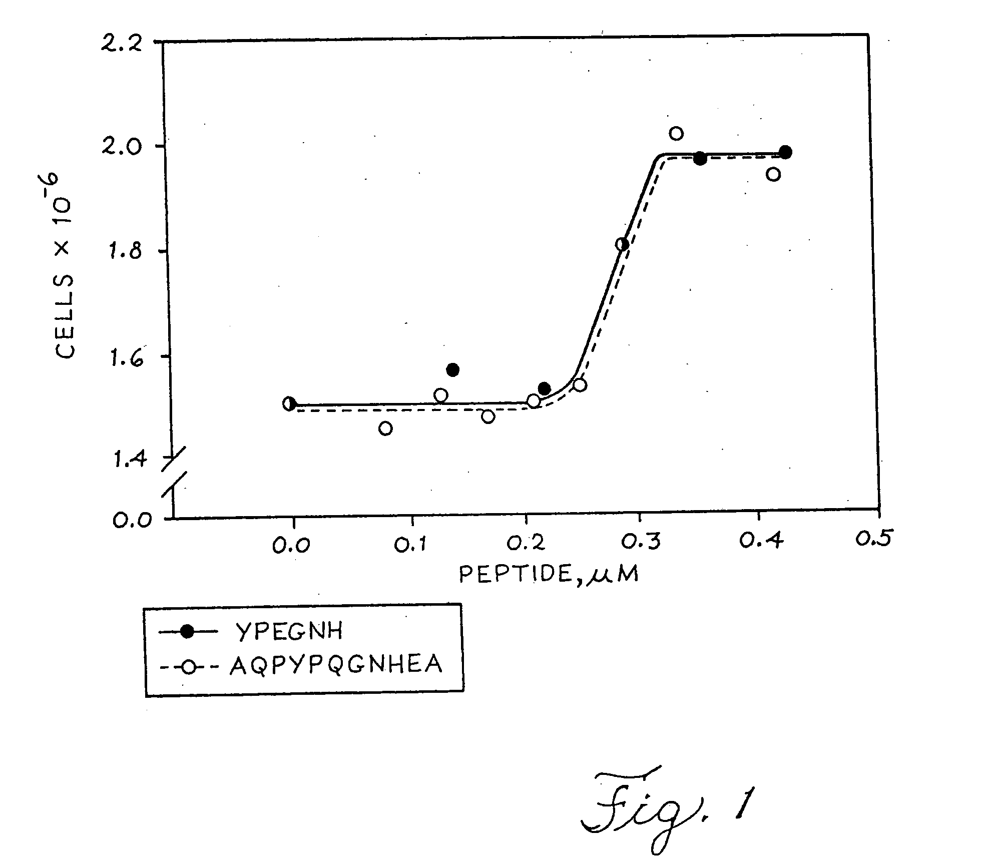 Methods for production of growth-promoting proteins and peptides for kidney epithelial cells