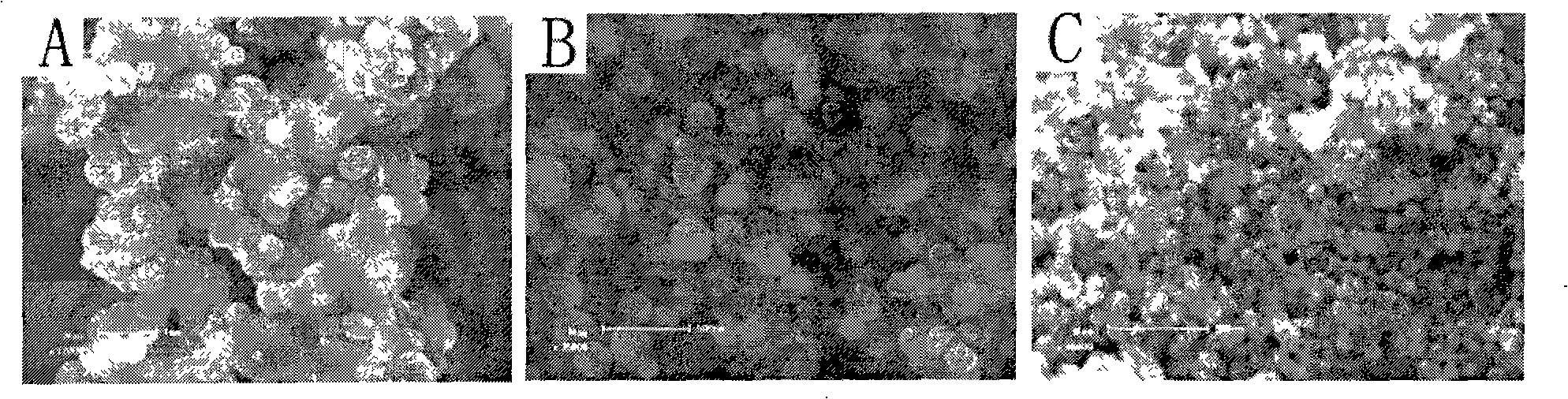 Method for producing nano nickle sphere