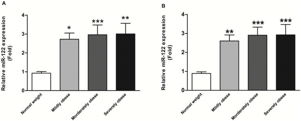 Human circulating miR-122 detection method