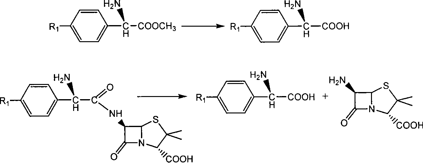 Method for enzymatically synthesizing beta-lactam antibiotic in organic solvent