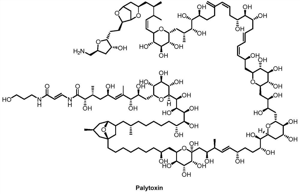 A kind of synthetic method of aryl carbon glycosides