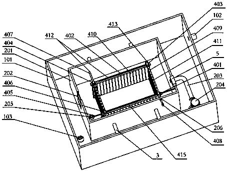 An experimental fish observation tank