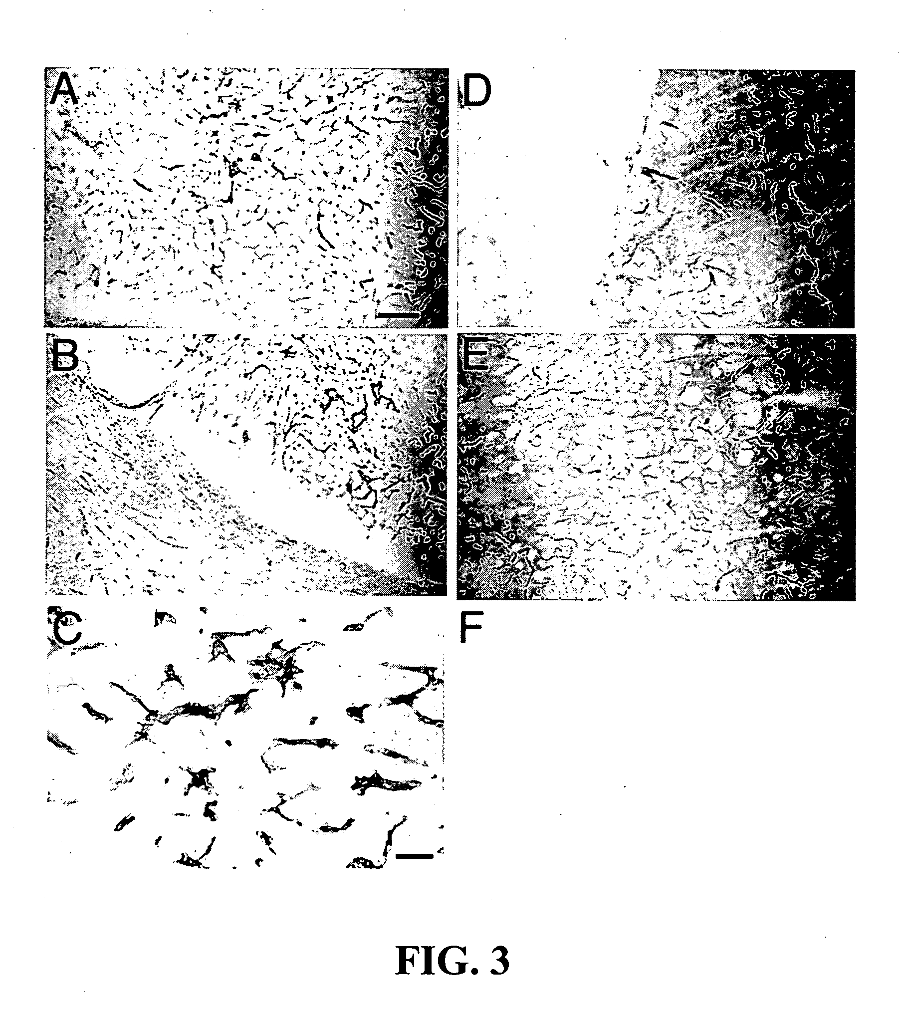 Delivery of genes encoding short hairpin RNA using receptor-specific nanocontainers