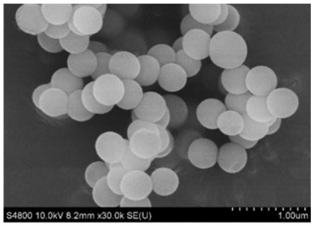Hollow mesoporous silica nanoparticle loaded with rotenone and preparation method thereof