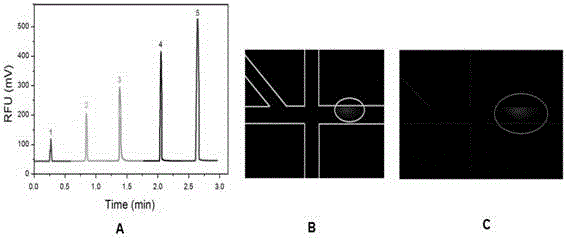Micro-fluidic continuous sampling method and device for unicellular quantitative analysis
