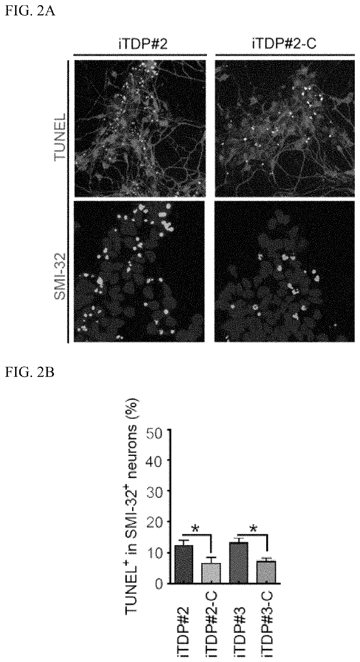 Nuclear paraspeckle assembly transcript 1 as therapeutic targeting in neurodegeneration