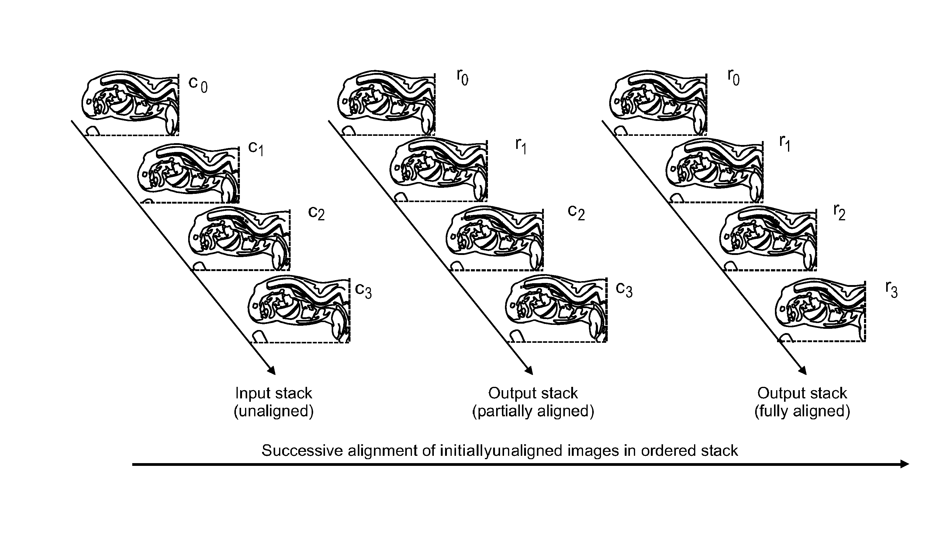 Alignment of an ordered stack of images from a specimen