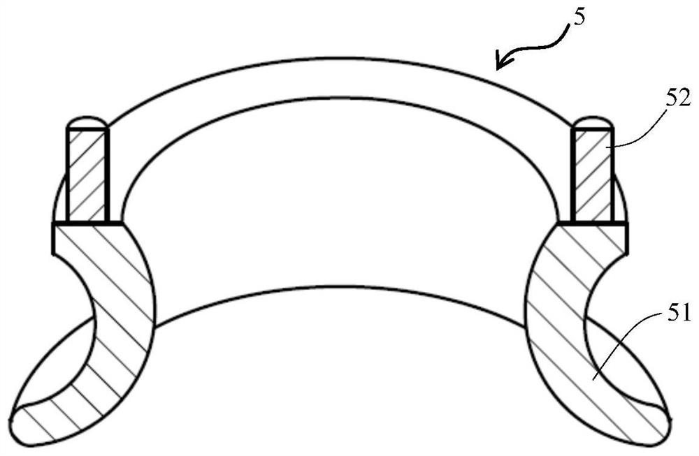 Mouse cataract detection device