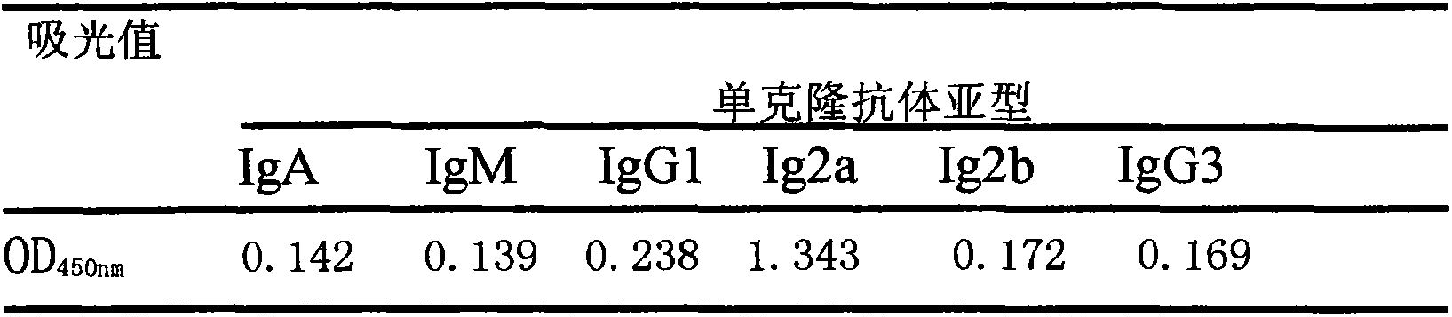 Anti-sterigmatocystin monoclonal antibody