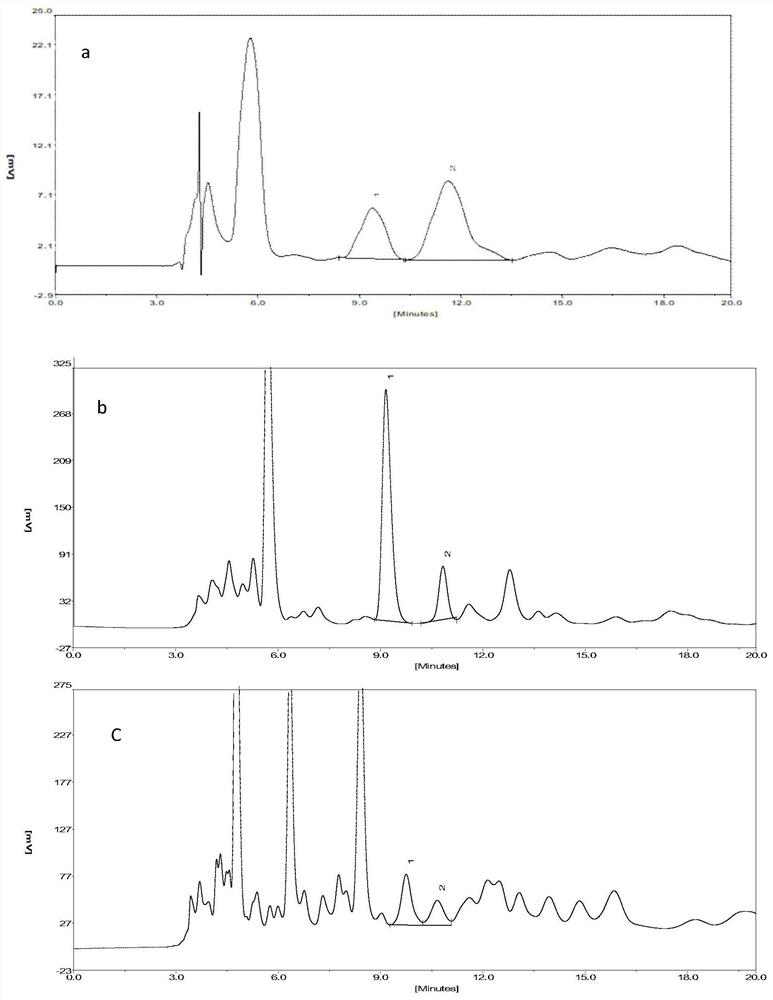 A deep eutectic solvent-water mixture for synchronously extracting salidroside and tyrosol in Rhodiola rosea and its preparation method and extraction method